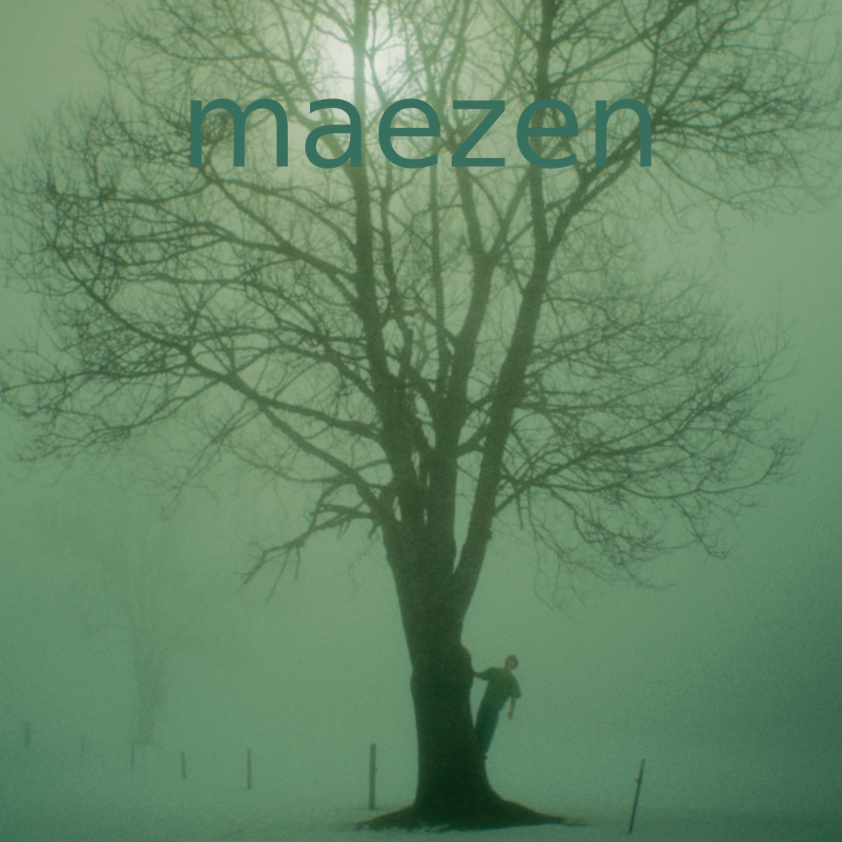 Maezen Connection