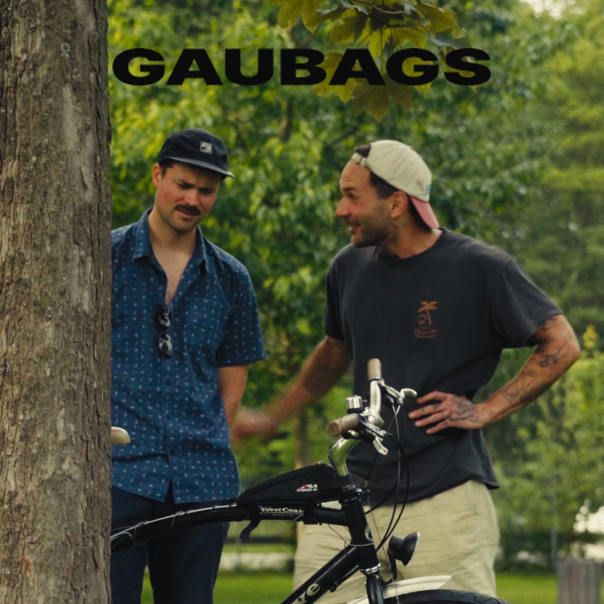 Gaubags